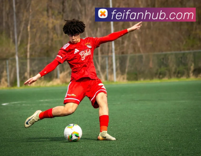 非凡体育全站App 非凡体育全站App